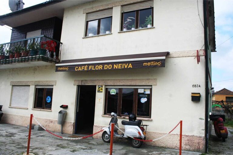 Flor do Neiva 1 768x512