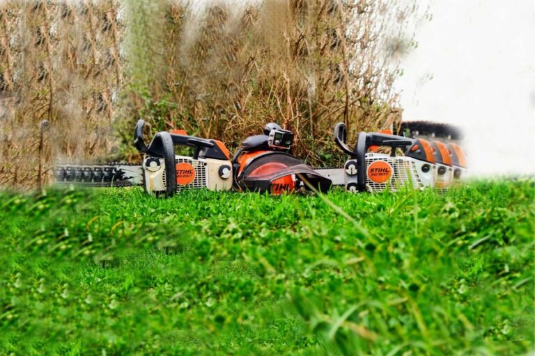 Limpezas Florestais 1 768x512