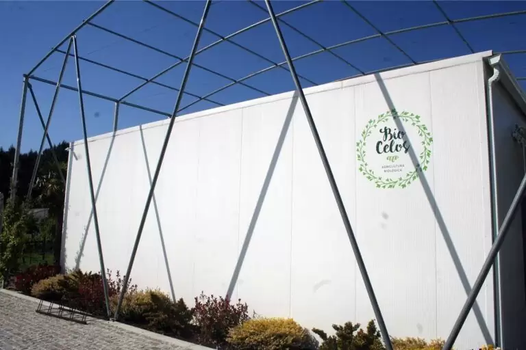 Biocelos 1 1 768x512