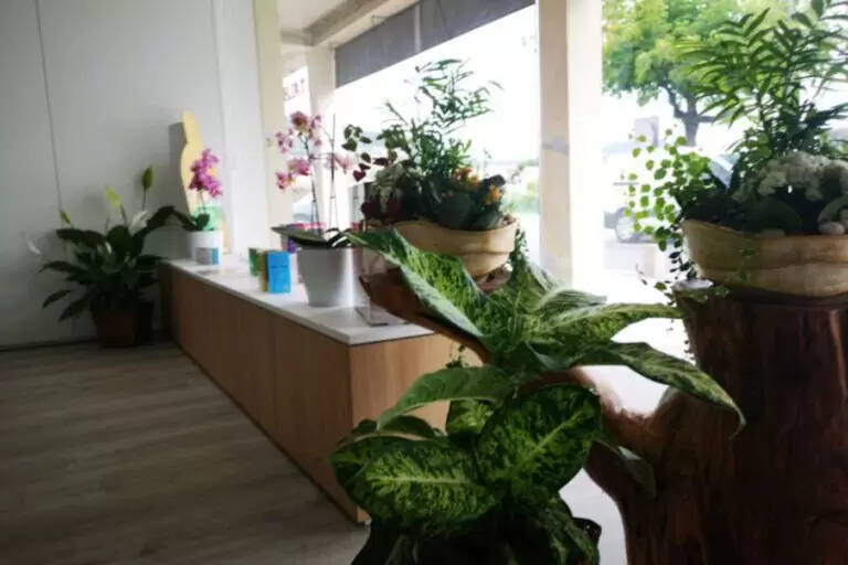 Centro Naturlife 1 768x512