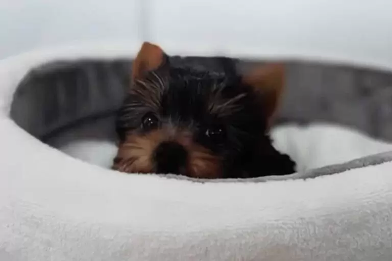 Herois Mundo 1 768x512